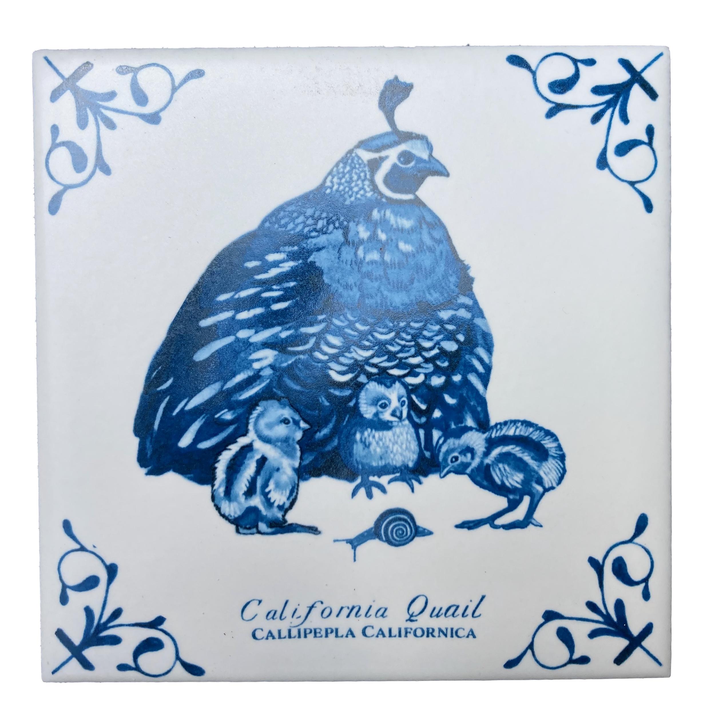 California Quail plus words 4X4 Tile