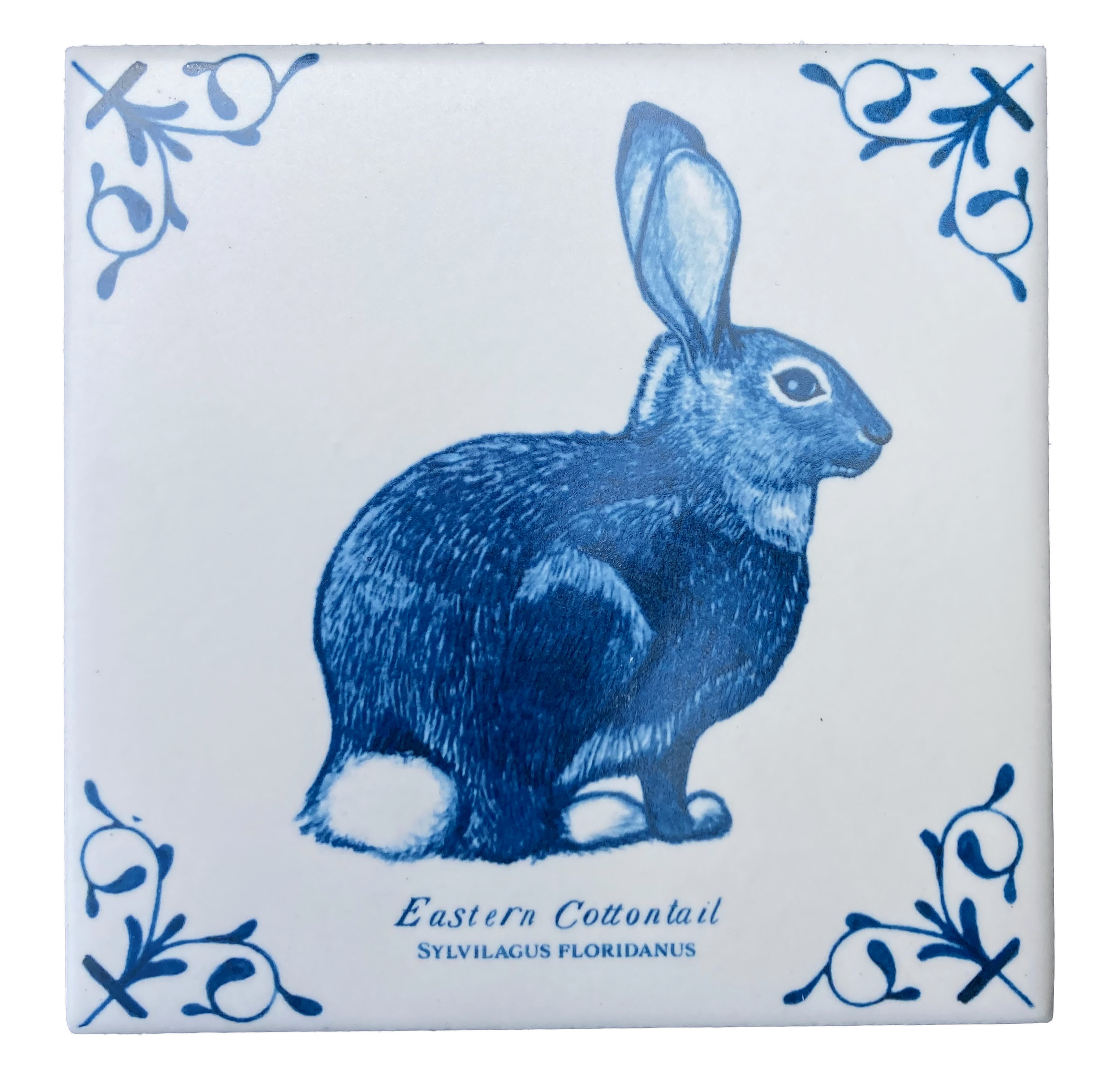 Eastern Cottontail plus words 4X4 Tile
