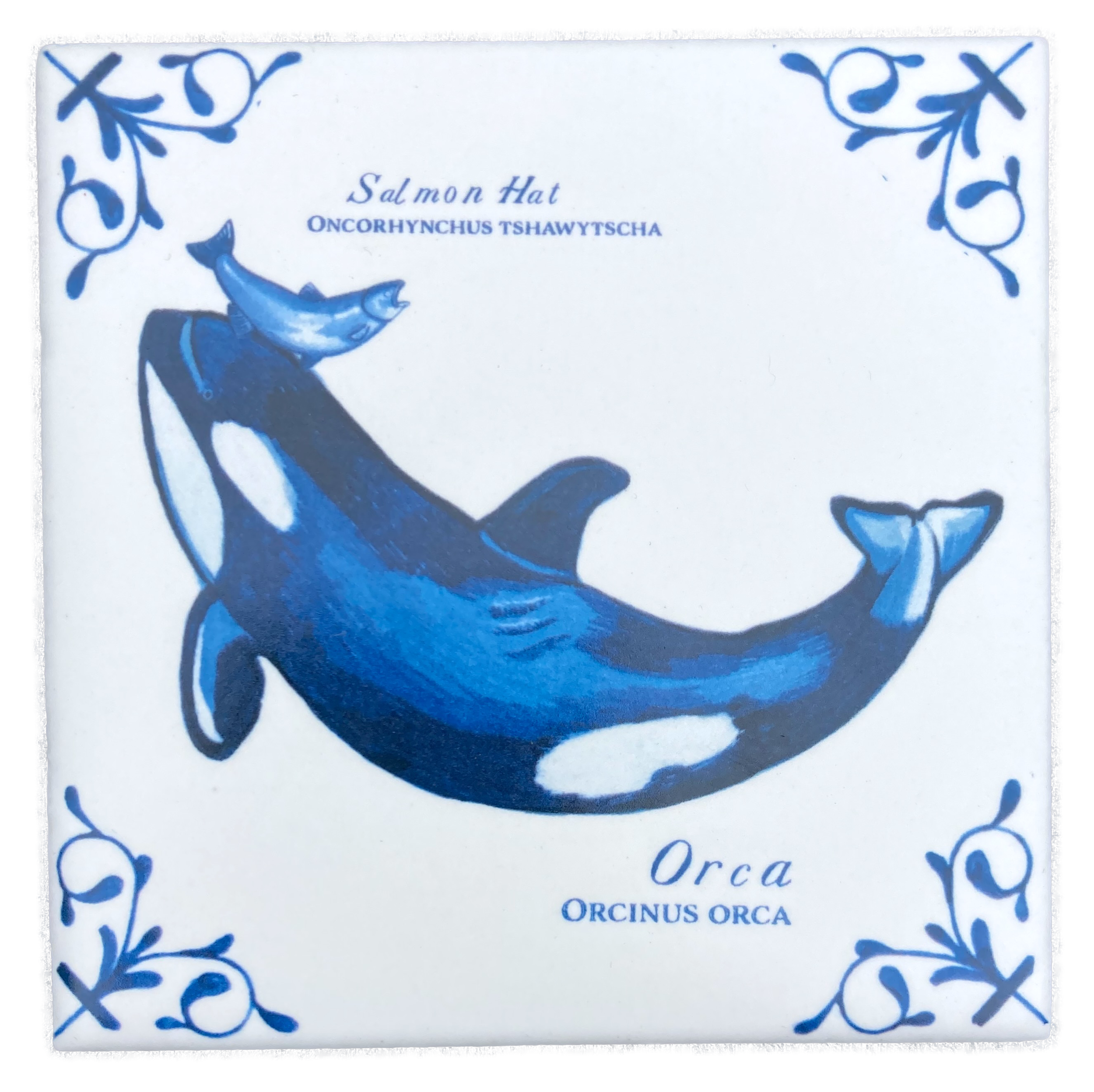 Orca with Salmon Hat plus words 4X4 Tile