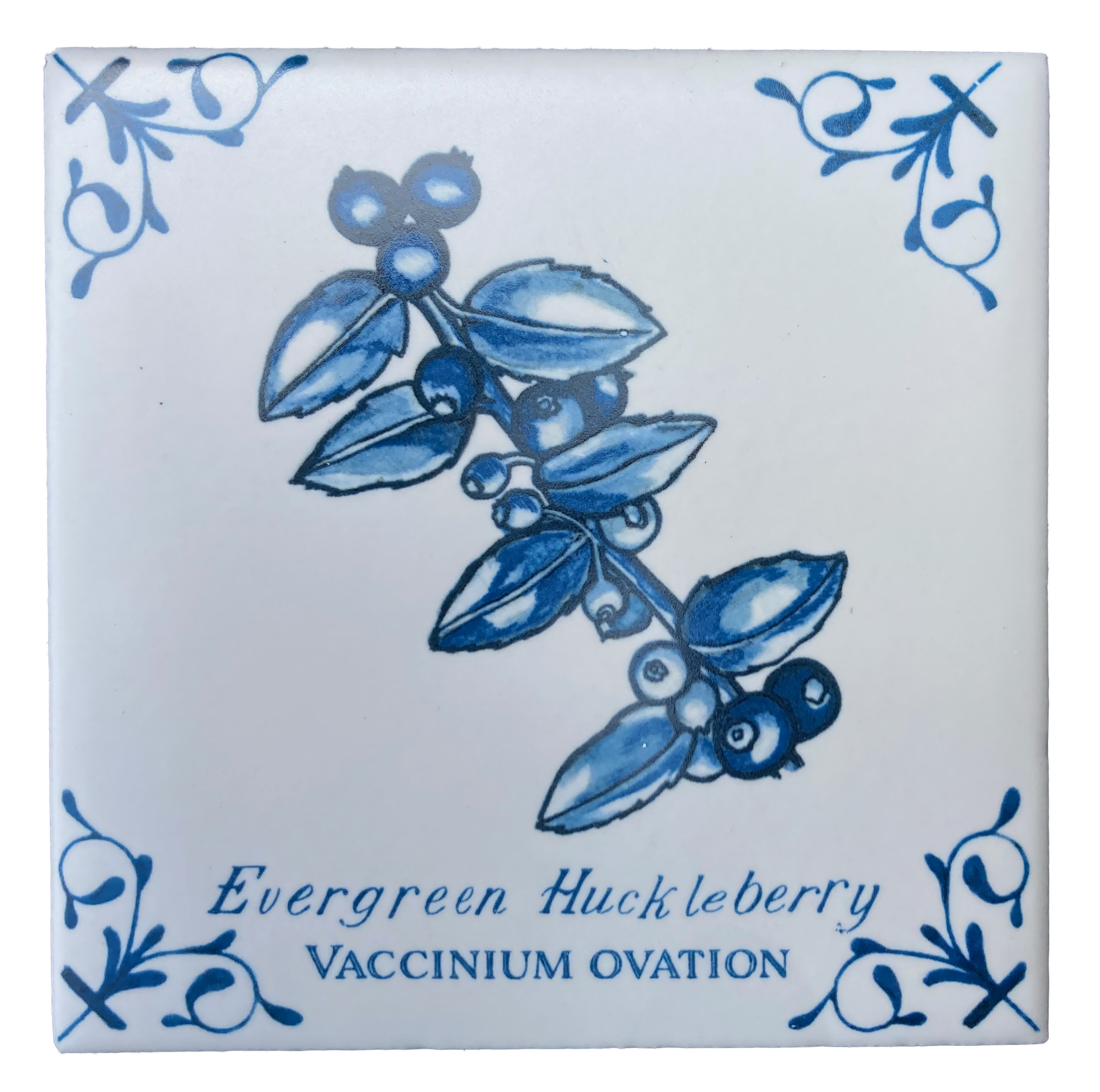 Evergreen Huckleberry plus words 4X4 Tile
