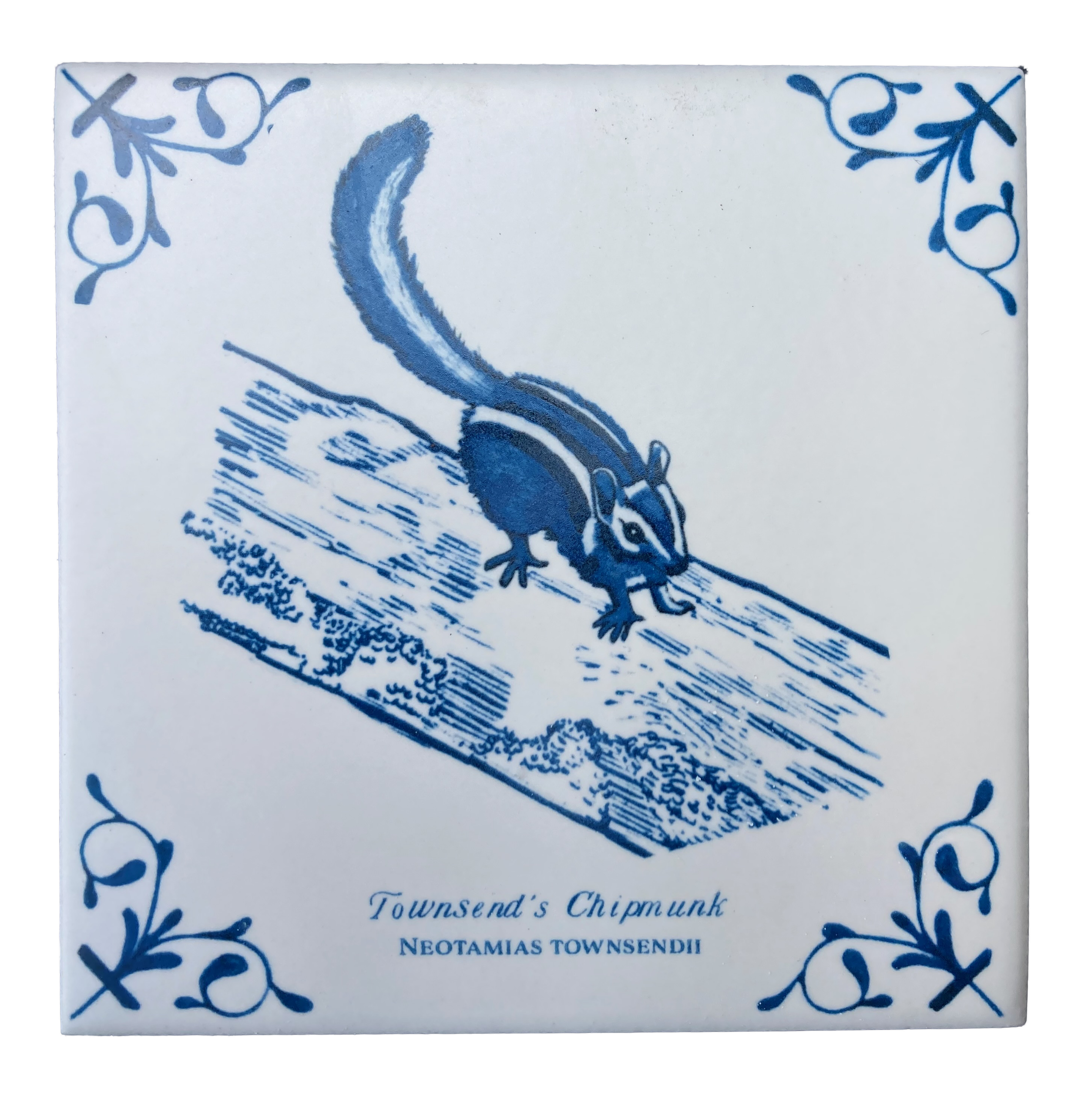 Townsend's Chipmunk plus words 4X4 Tile