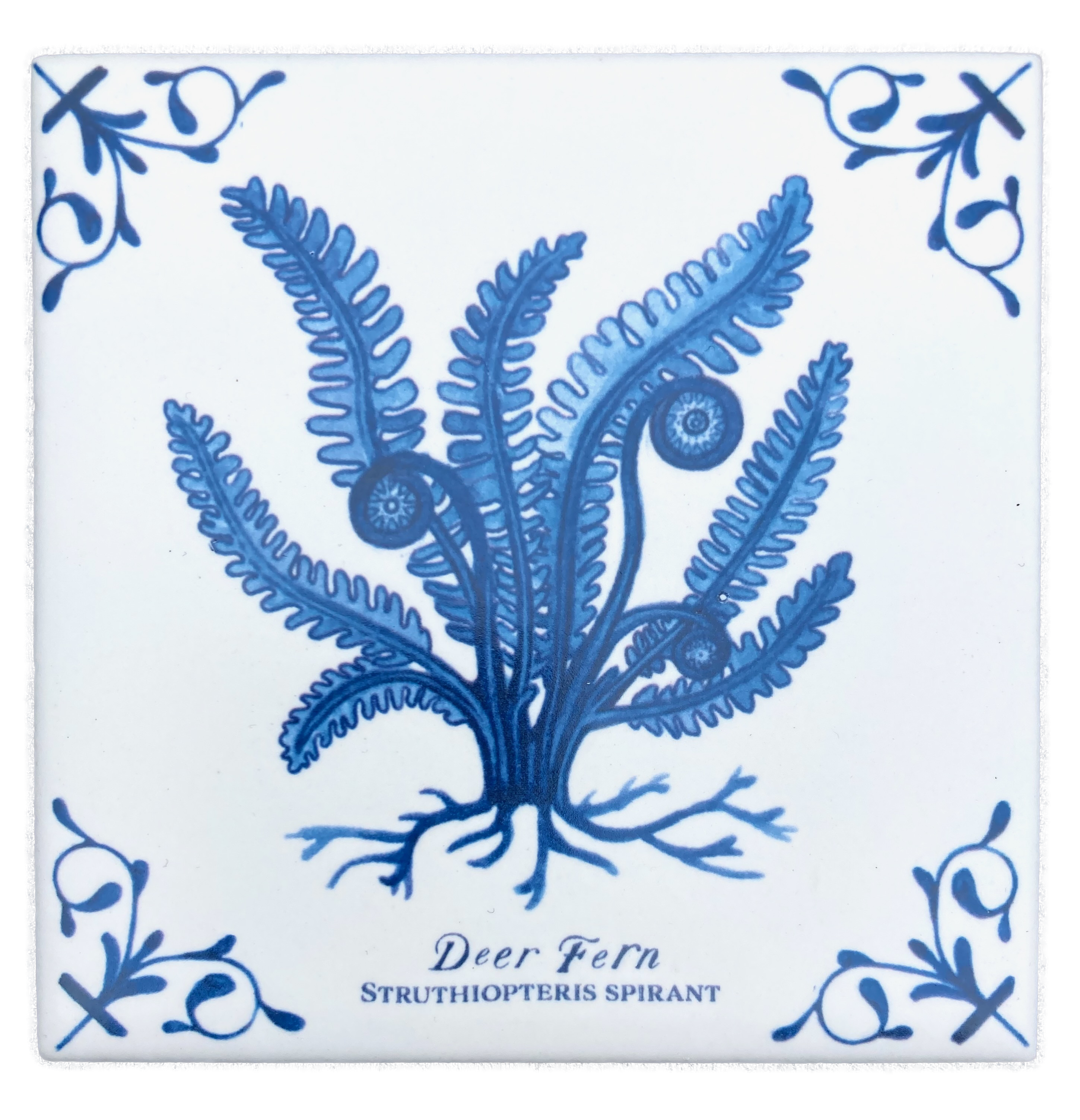 Deer Fern plus words 4X4 Tile