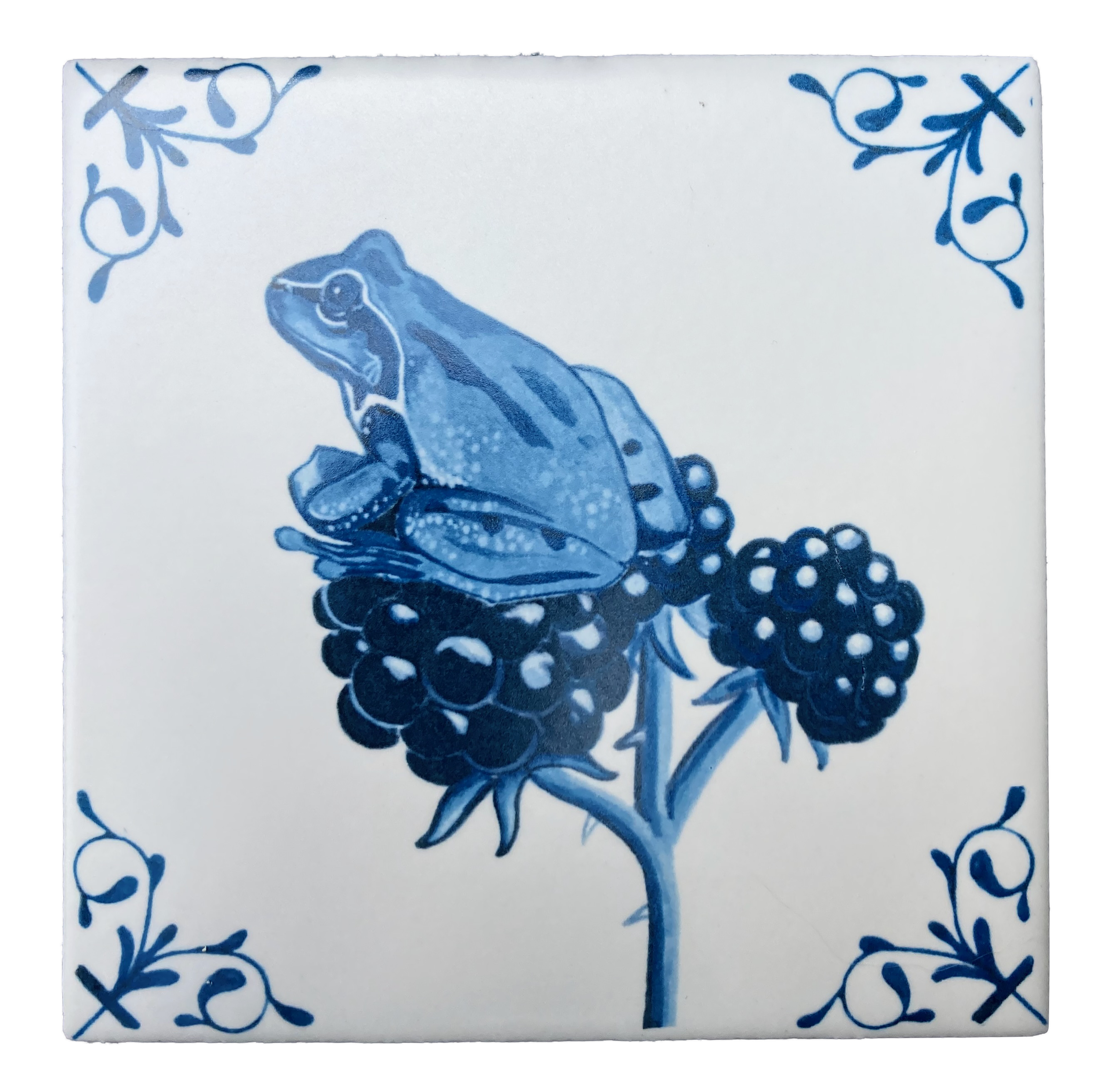 Pacific Tree Frog 4X4 Tile