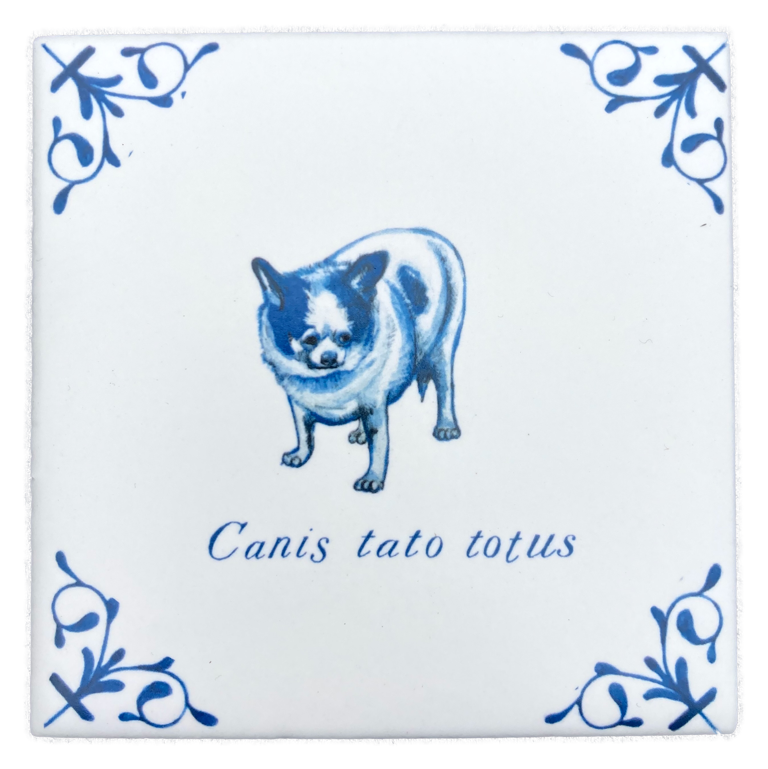 Langley Dog plus Latin 4X4 Tile