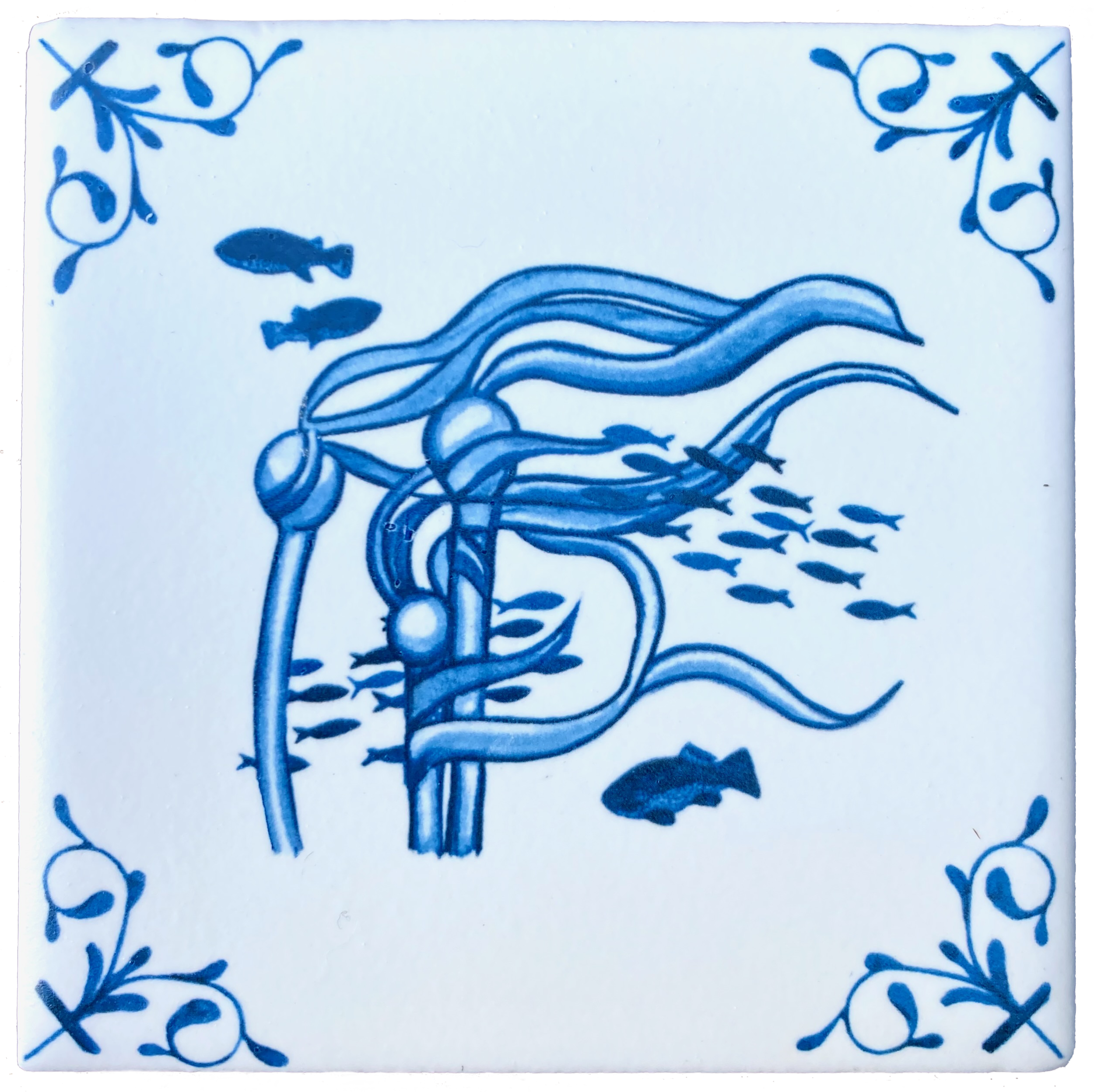 Bull Kelp 4X4 tile