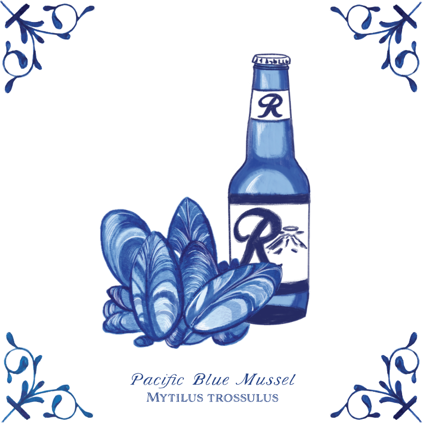 Pacific Blue Mussels 4X4 Tile with Scientific Name