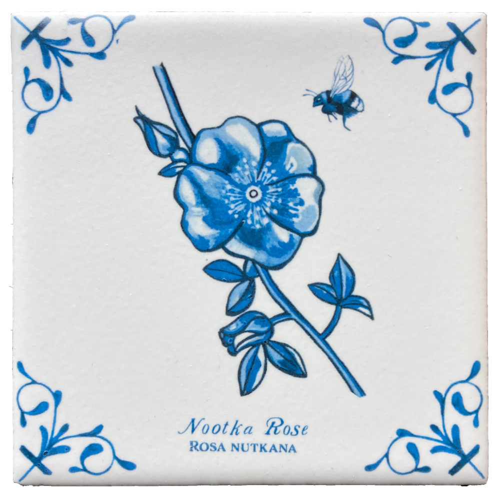 Nootka Rose + Words 4X4 Tile