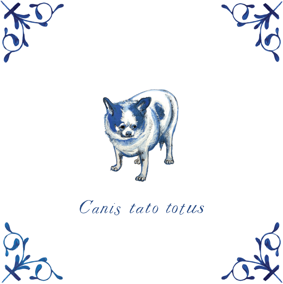 Langley Dog 4X4 Tile with Scientific Name