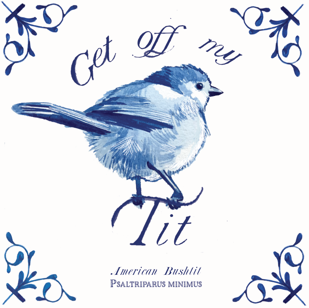 America Bushtit 4X4 Tile with Scientific Name