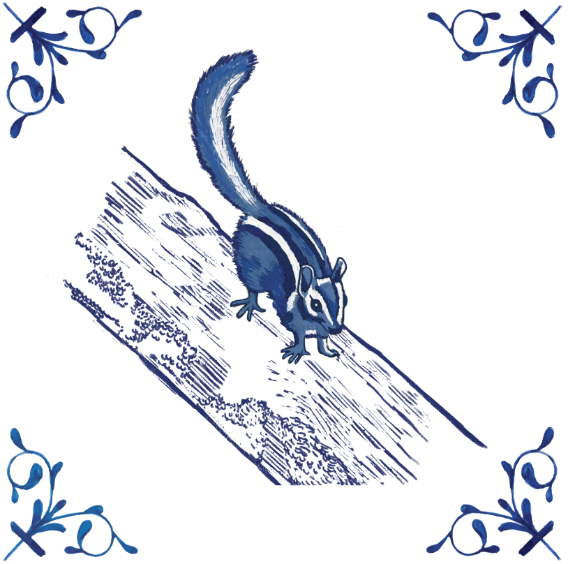 Townsend's Chipmunk 4X4 Tile