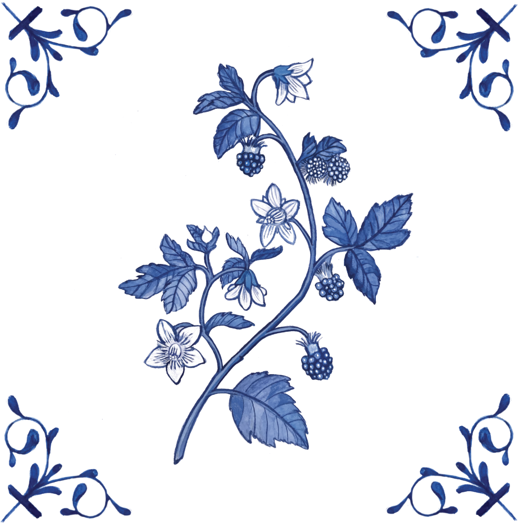 Salmonberry 4X4 tile