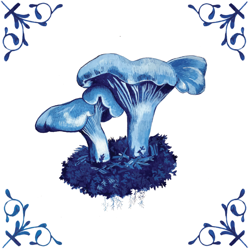 Chanterelle Mushroom 4X4 Tile