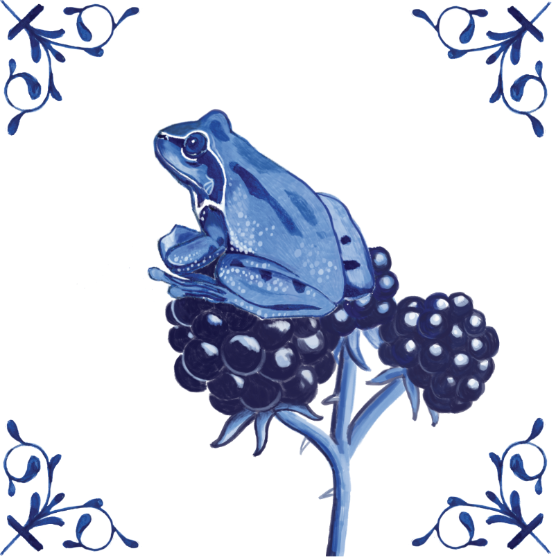 Pacific Tree Frog 4X4 Tile