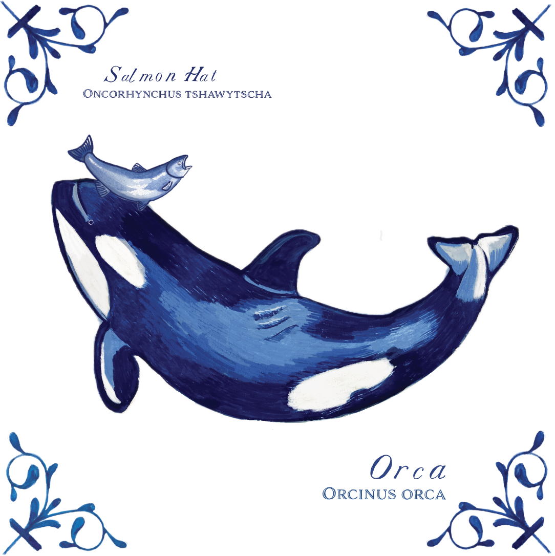 Orca with Salmon Hat 4X4 Tile with Scientific Name