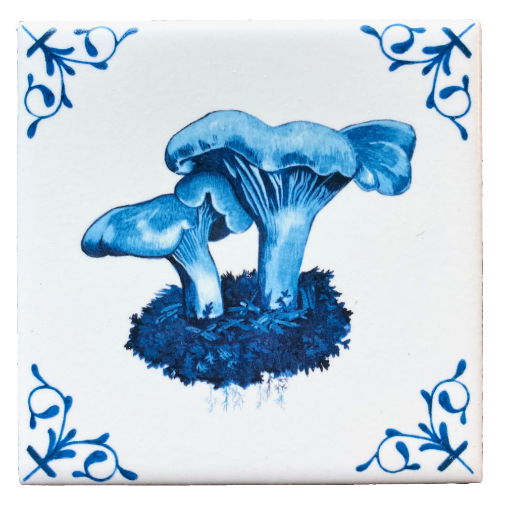 Chanterelle 4X4 Tile