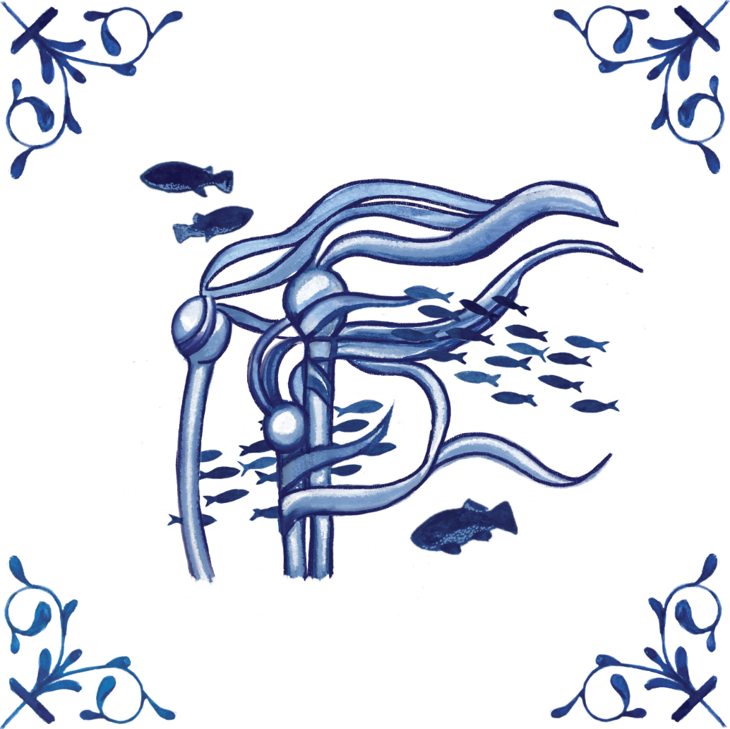 Bullwhip Kelp 4X4 Tile