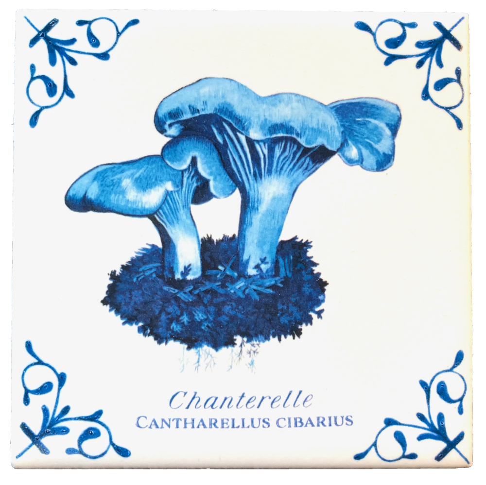 Chanterelle Plus Words 4X4 Tile