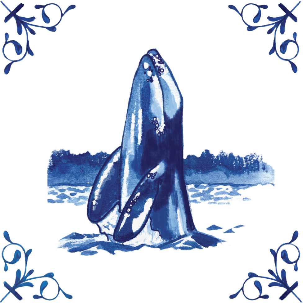 Grey Whale 4X4 Tile