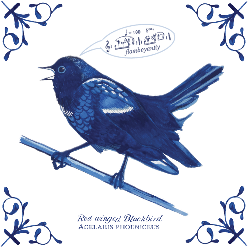 Red Winged Blackbird 4X4 Tile with Scientific Name