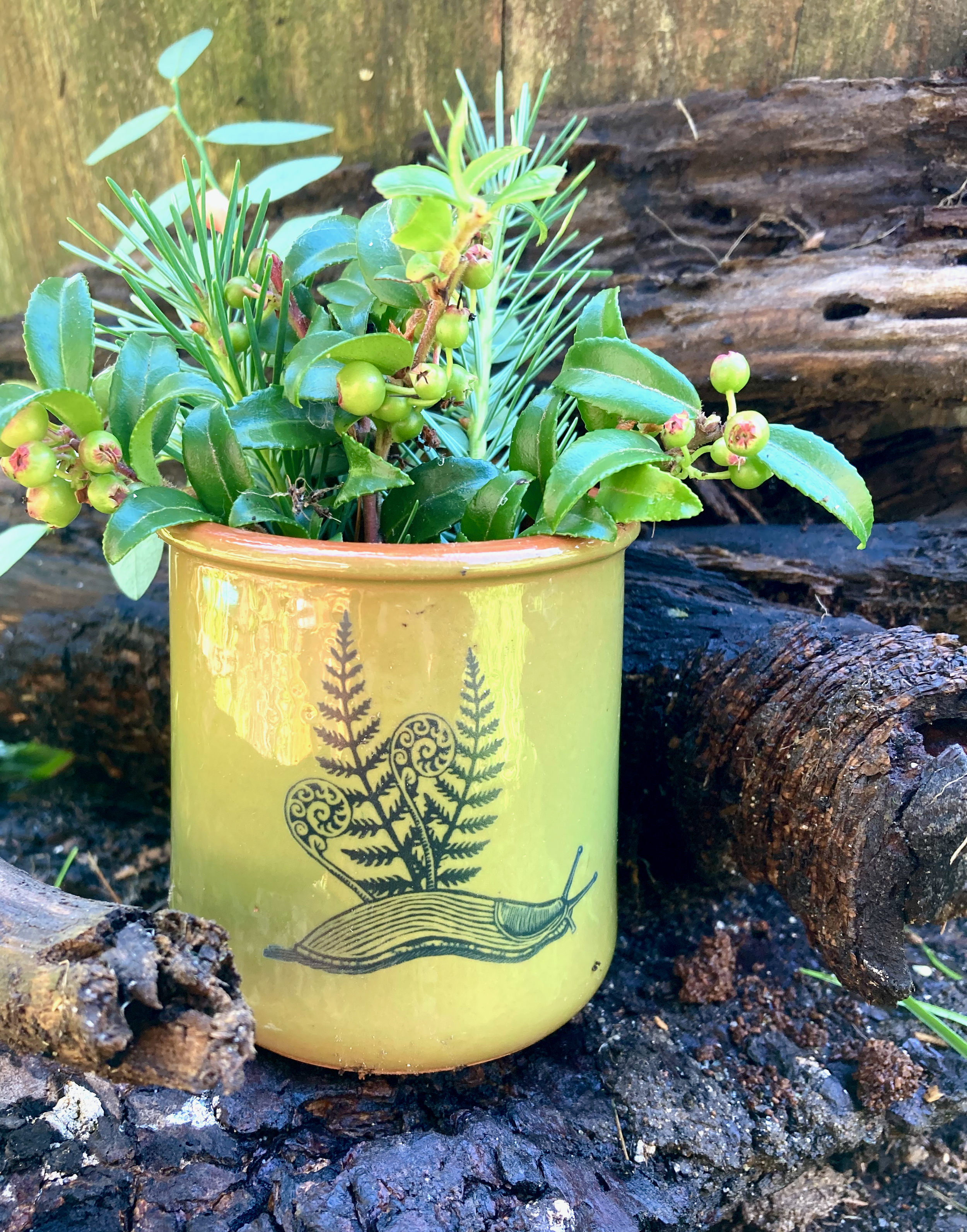 Banana Slug Posy Pot