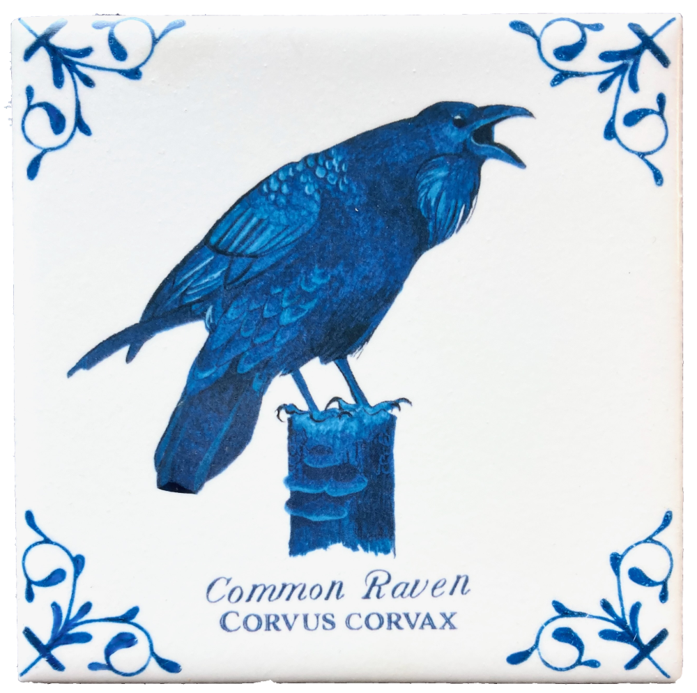 Raven + Words 4X4 Tile
