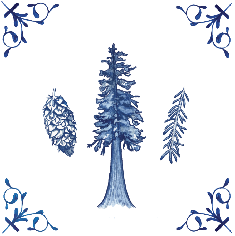 Douglas Fir 4X4 Tile