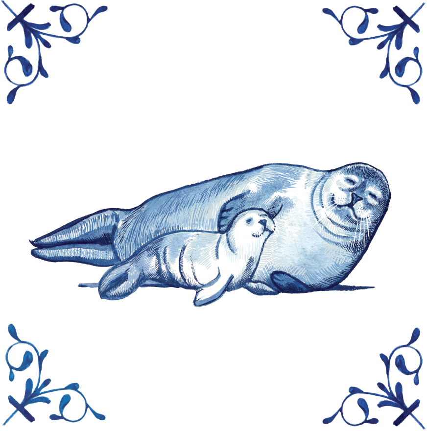 Harbor Seal 4X4 Tile
