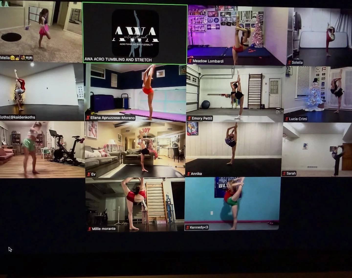 Appreciation post: All these ones who choose to spend their Friday nights with me and those not pictured who still come to me for their training. Trusting in my training, ready to work despite a long week, taking in corrections left and right and sky