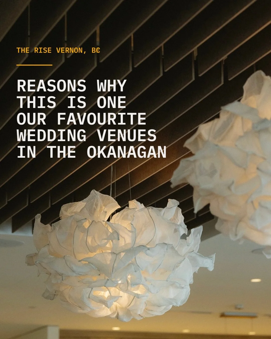 The Rise is honestly such a beautiful spot for a wedding in Vernon. The views, the food, and the experience is sooo classy and really leaves you with an effortlessly beautiful wedding day.

Planning a wedding in Vernon or anywhere in the Okanagan? Yo