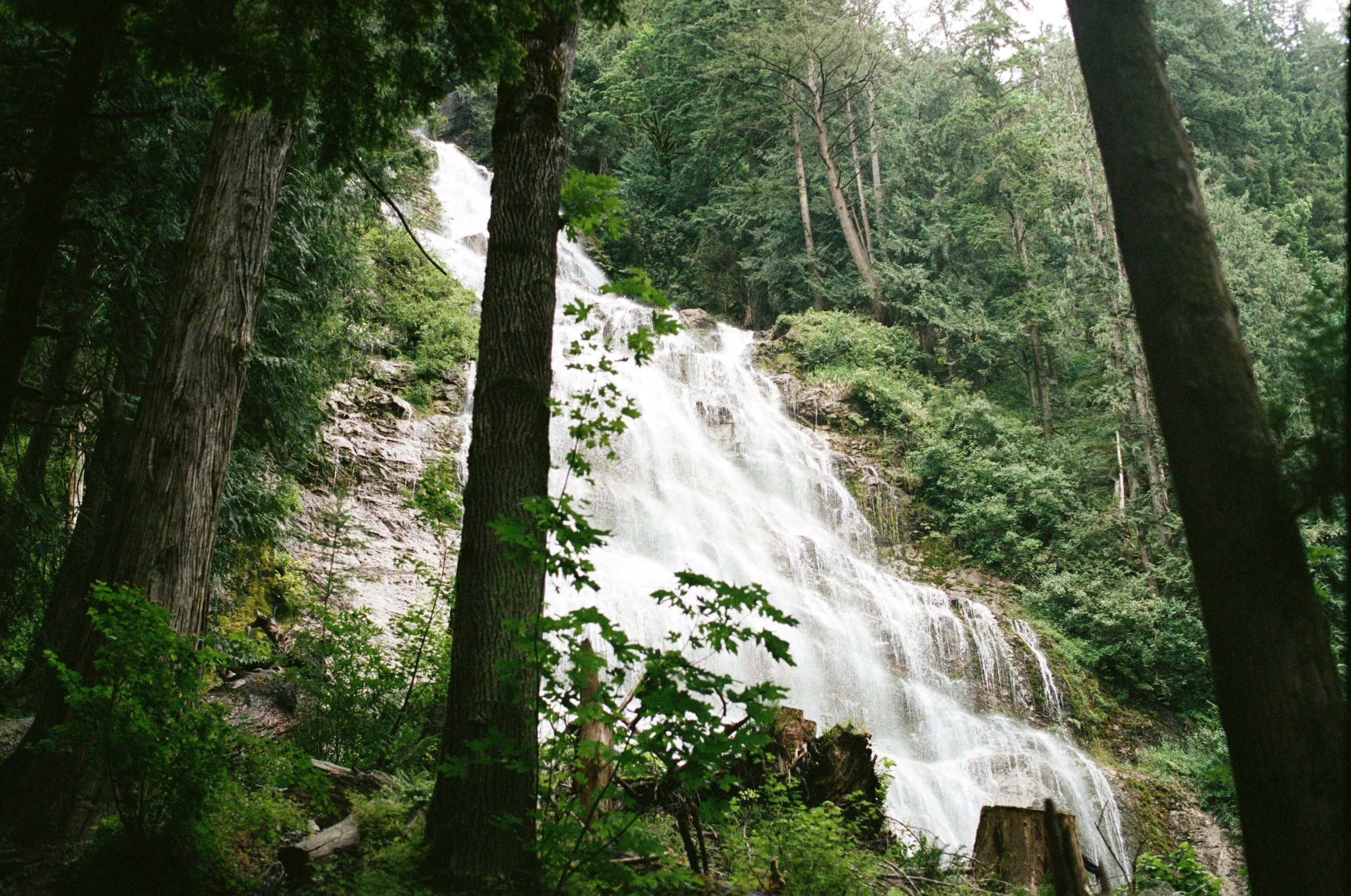 Julia & Colton FILM-1.jpg