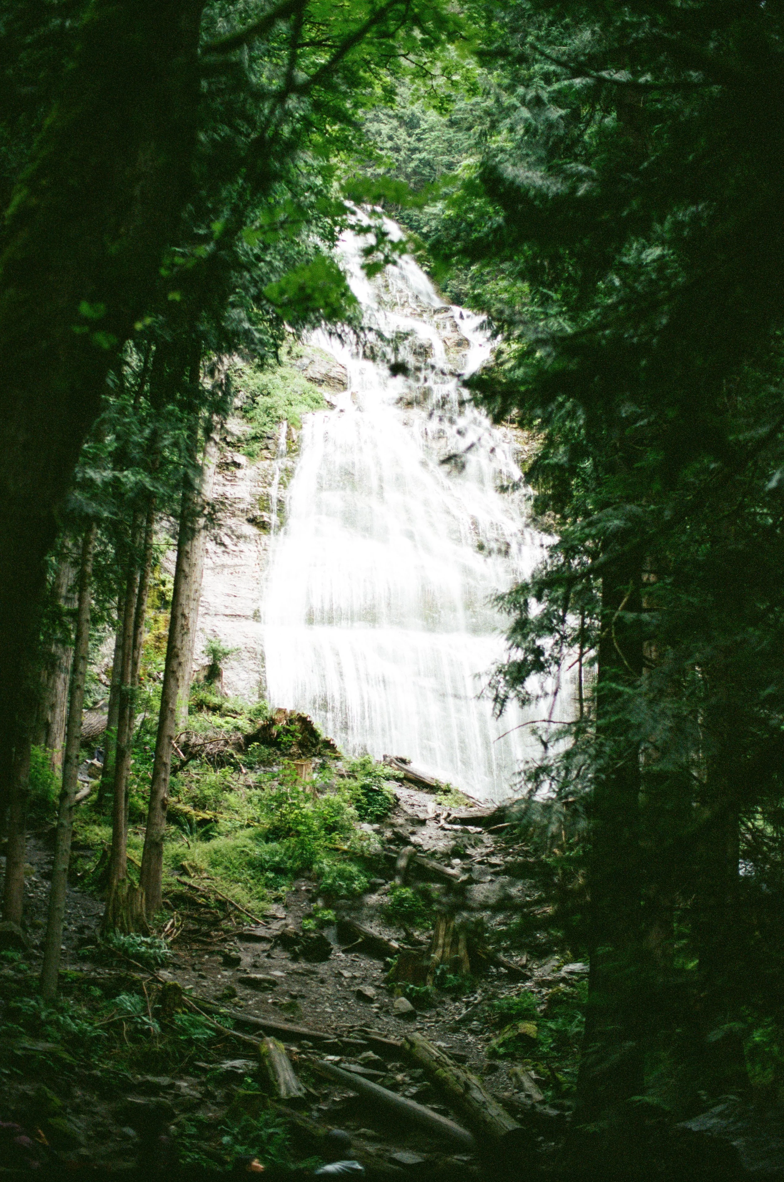 Julia & Colton FILM-5.jpg