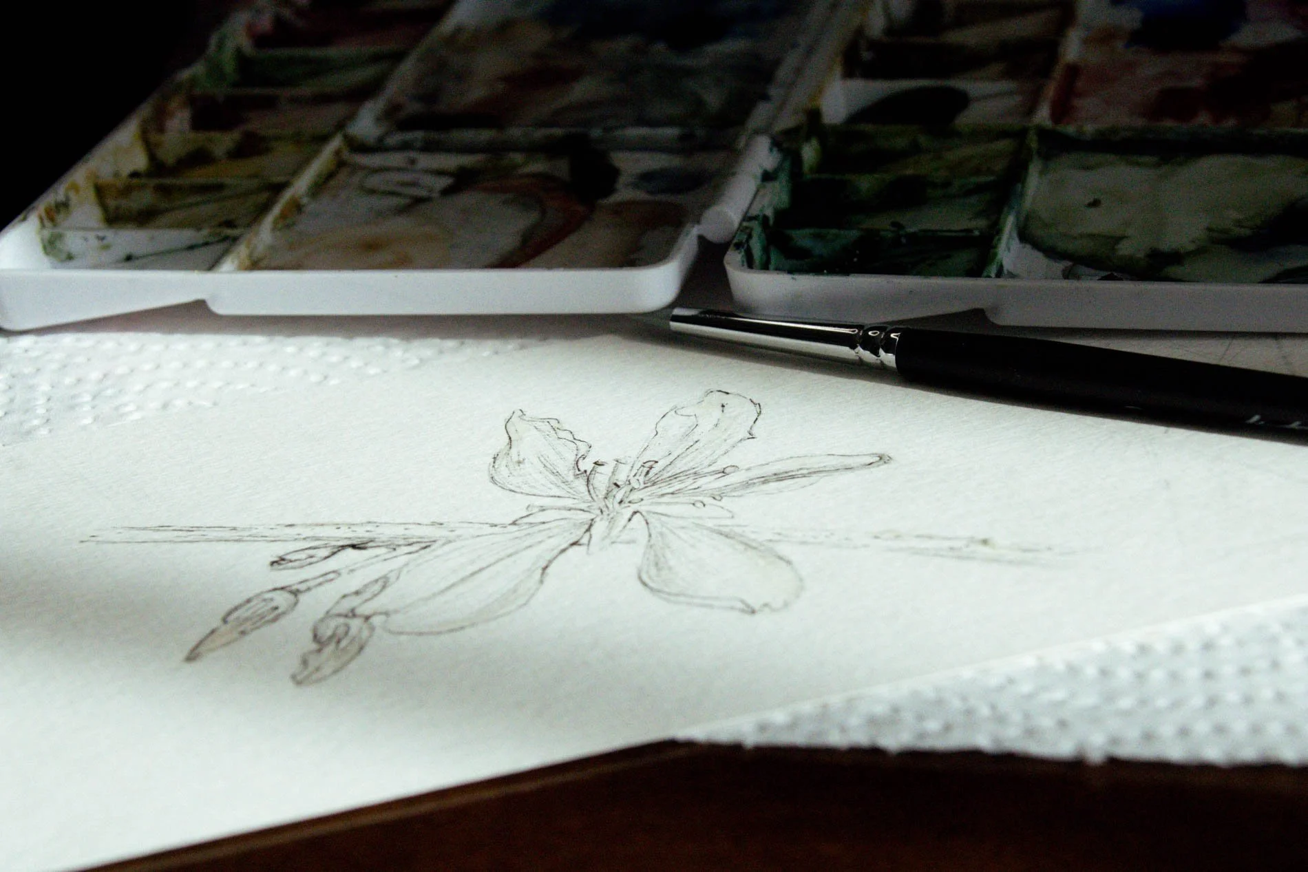 Farm Fresh Creations