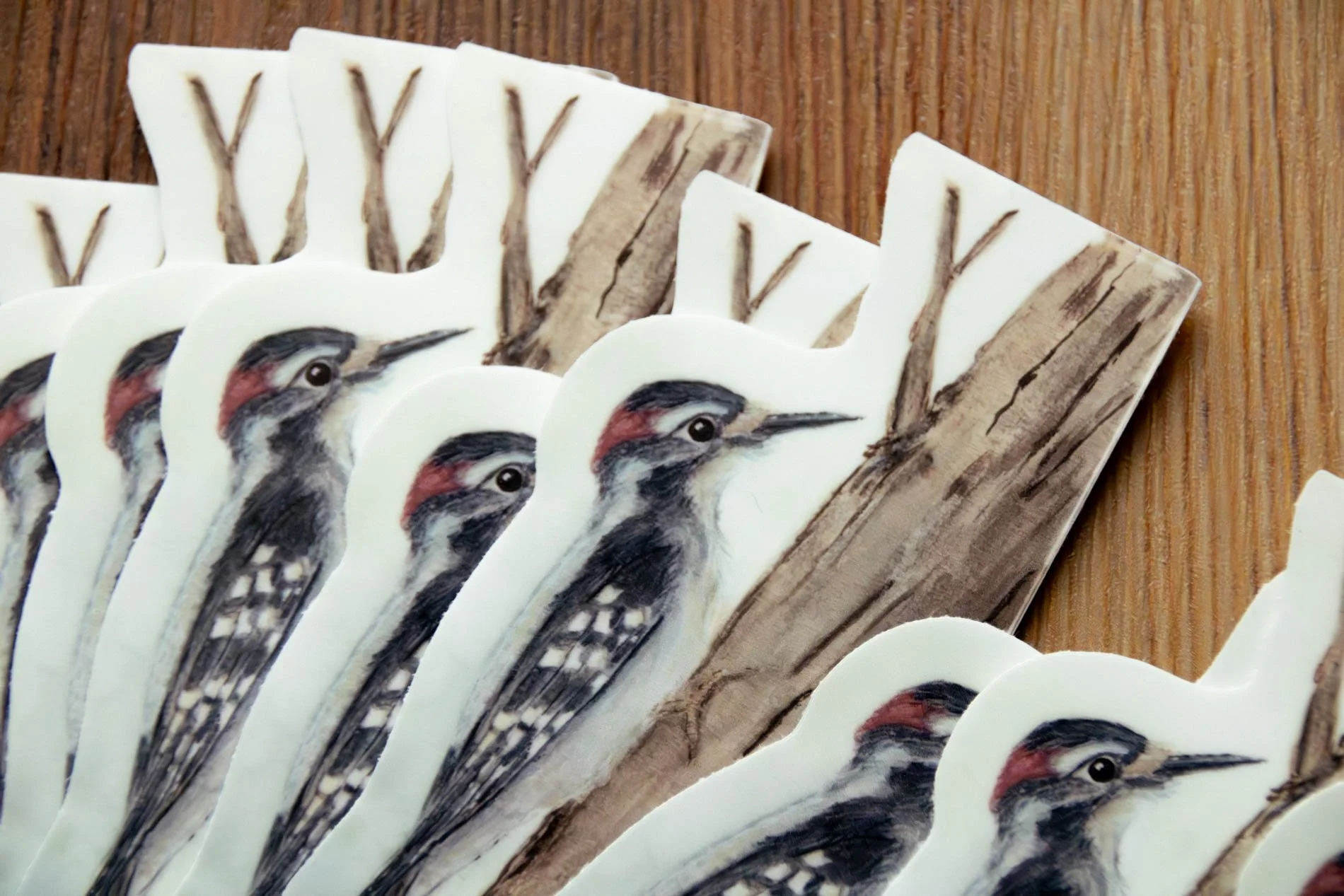 VPishcuraArtistryco-Woodpecker-sticker-Feb26-06.jpg