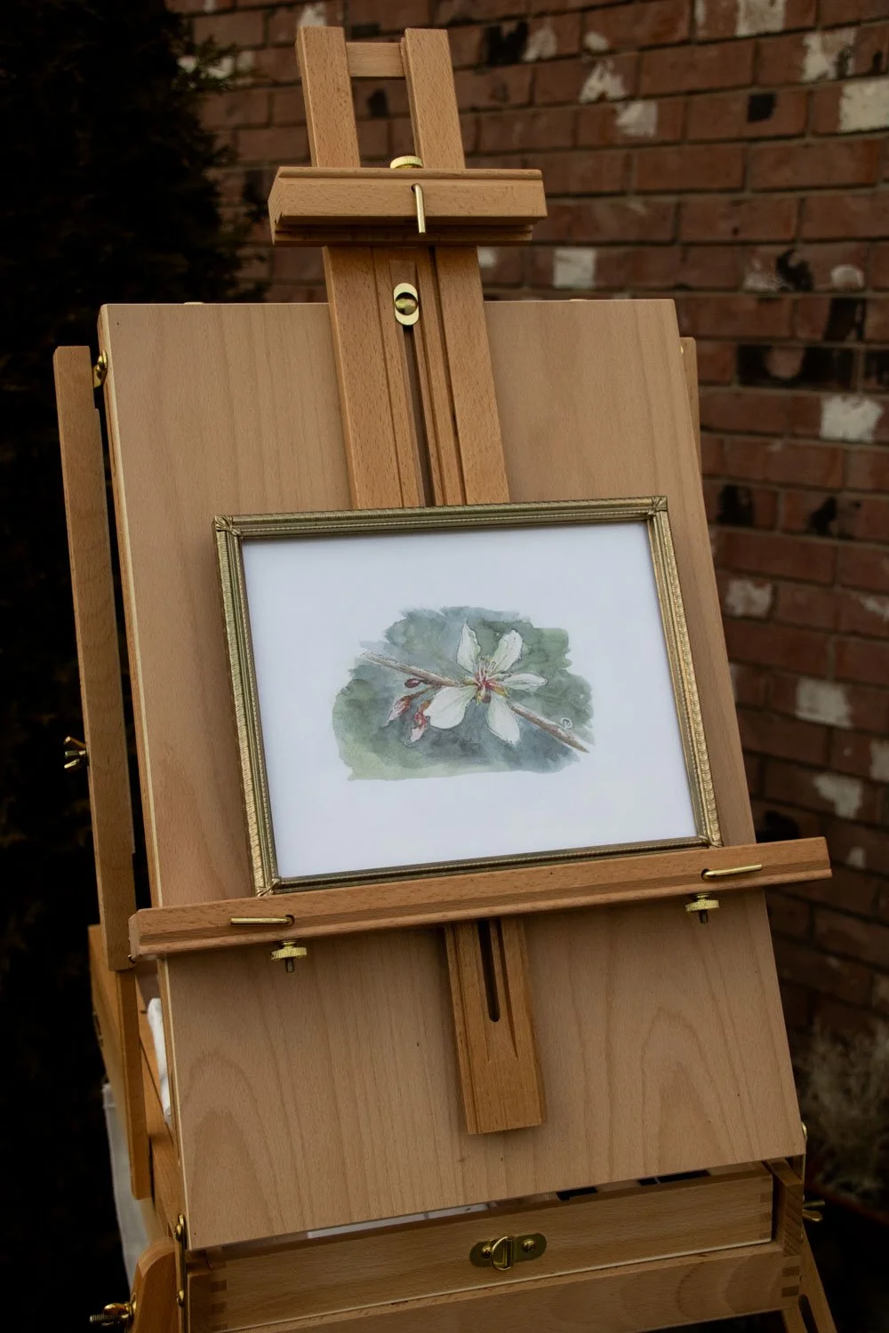 Apple Blossom - Print