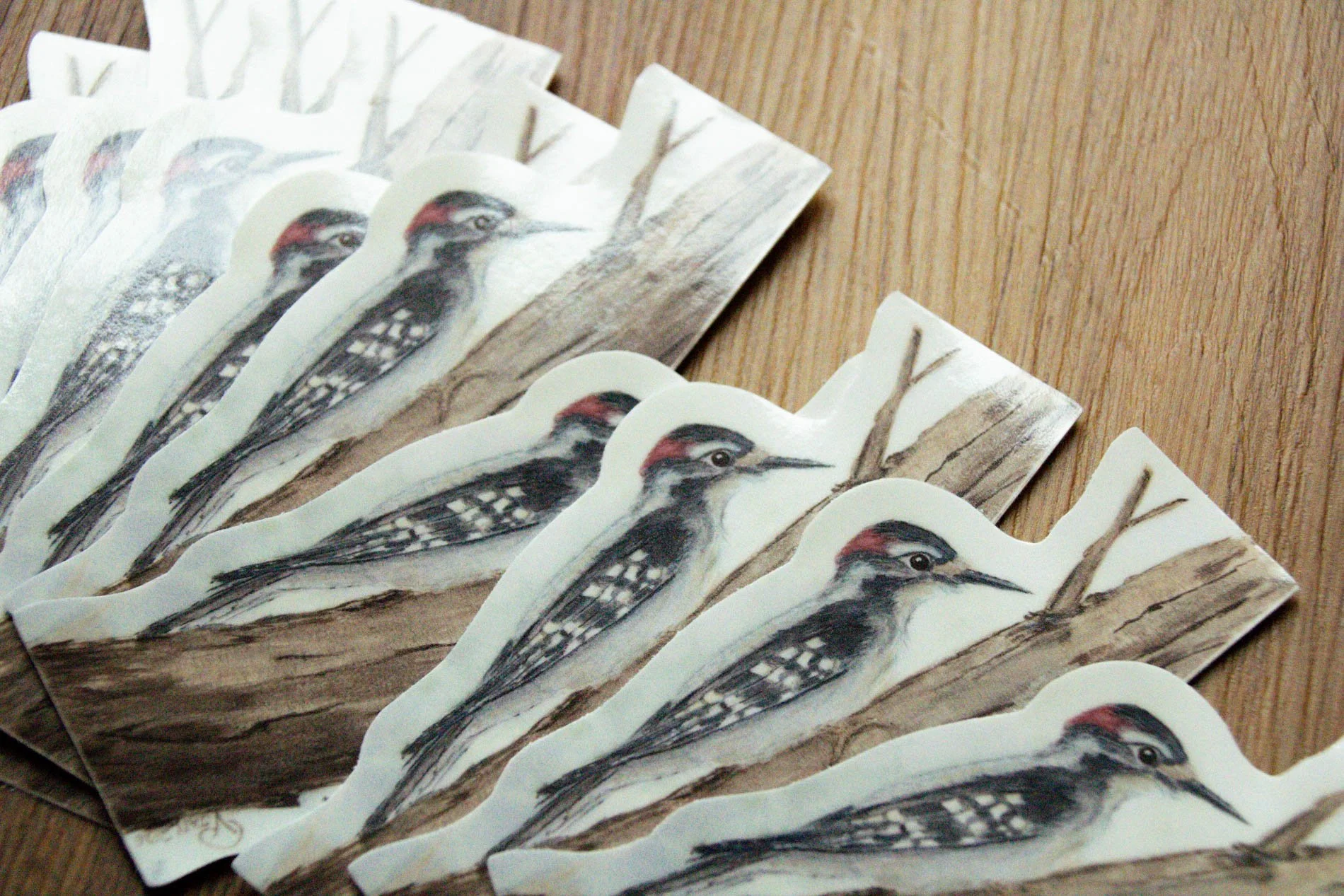 VPishcuraArtistryco-Woodpecker-sticker-Feb26-07.jpg