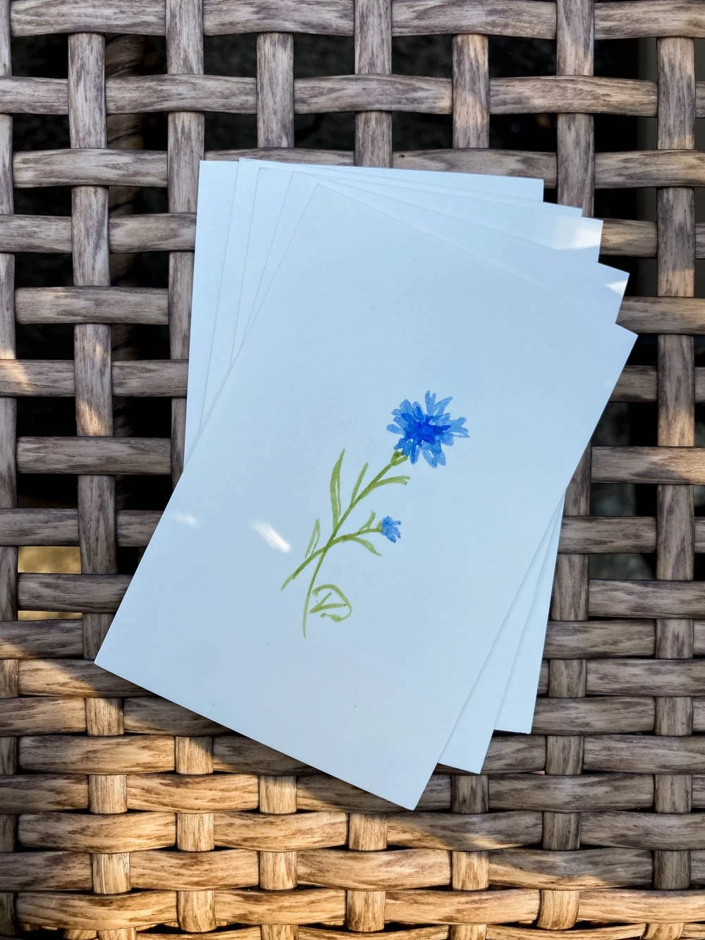 vpa-flower-notecards-jul26-24.jpg
