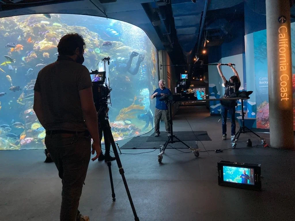 BTS - CAS - BBC1.jpeg