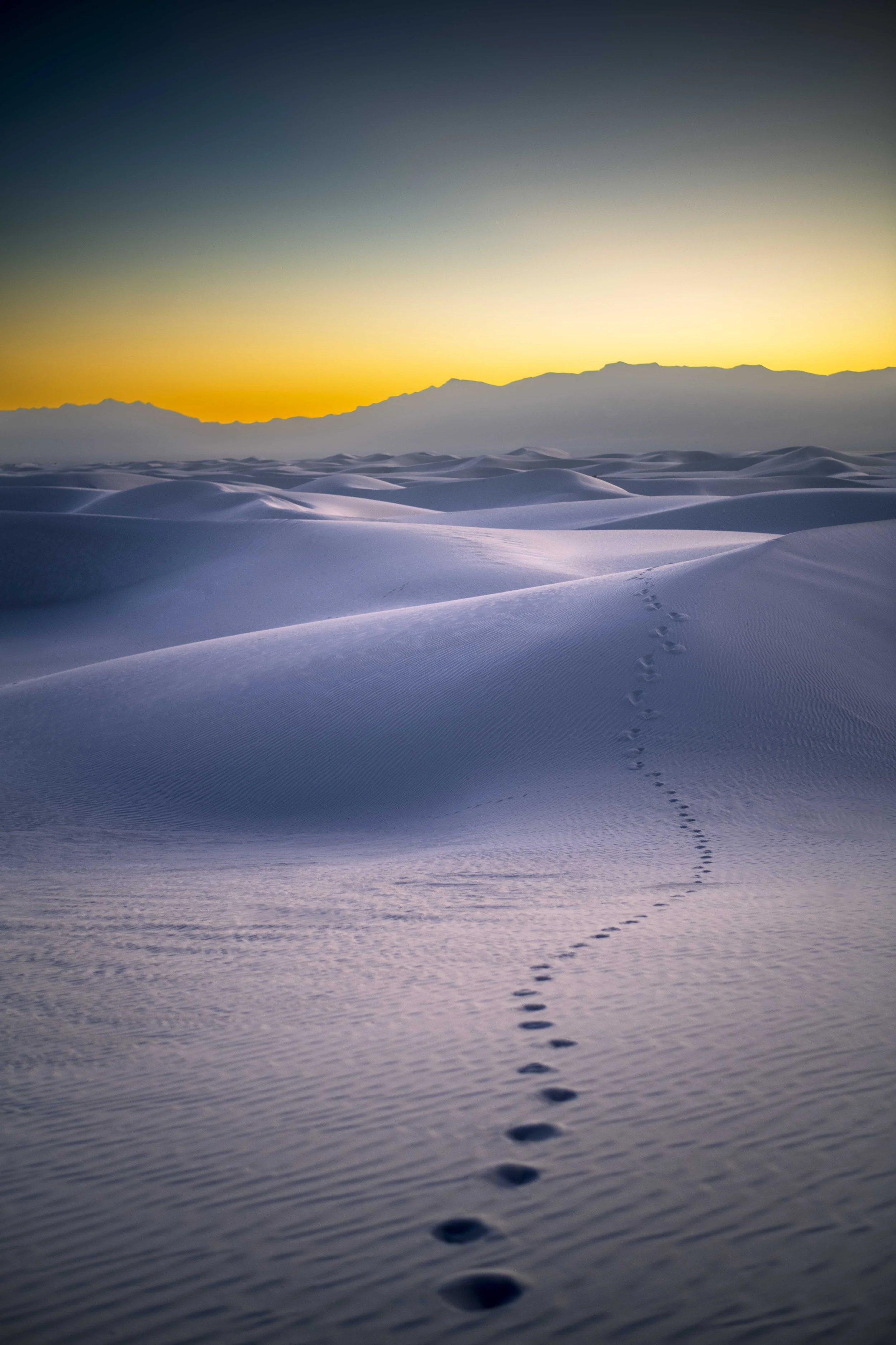 White Sands Solitude.jpg