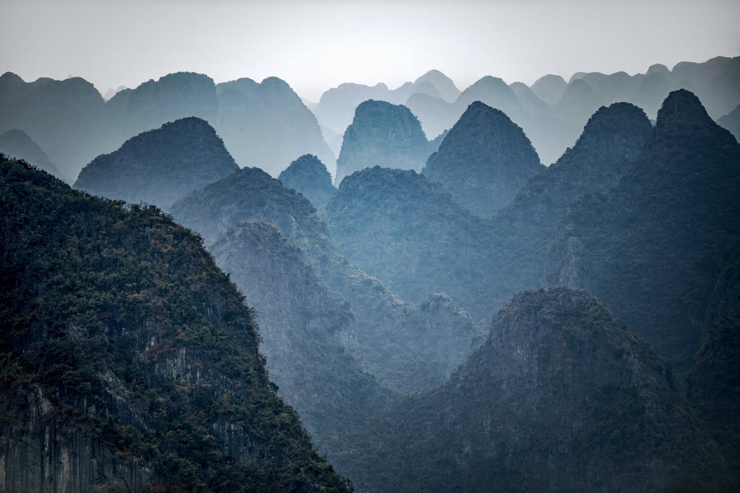 DSC_3112-Enhanced-NR 2.jpg