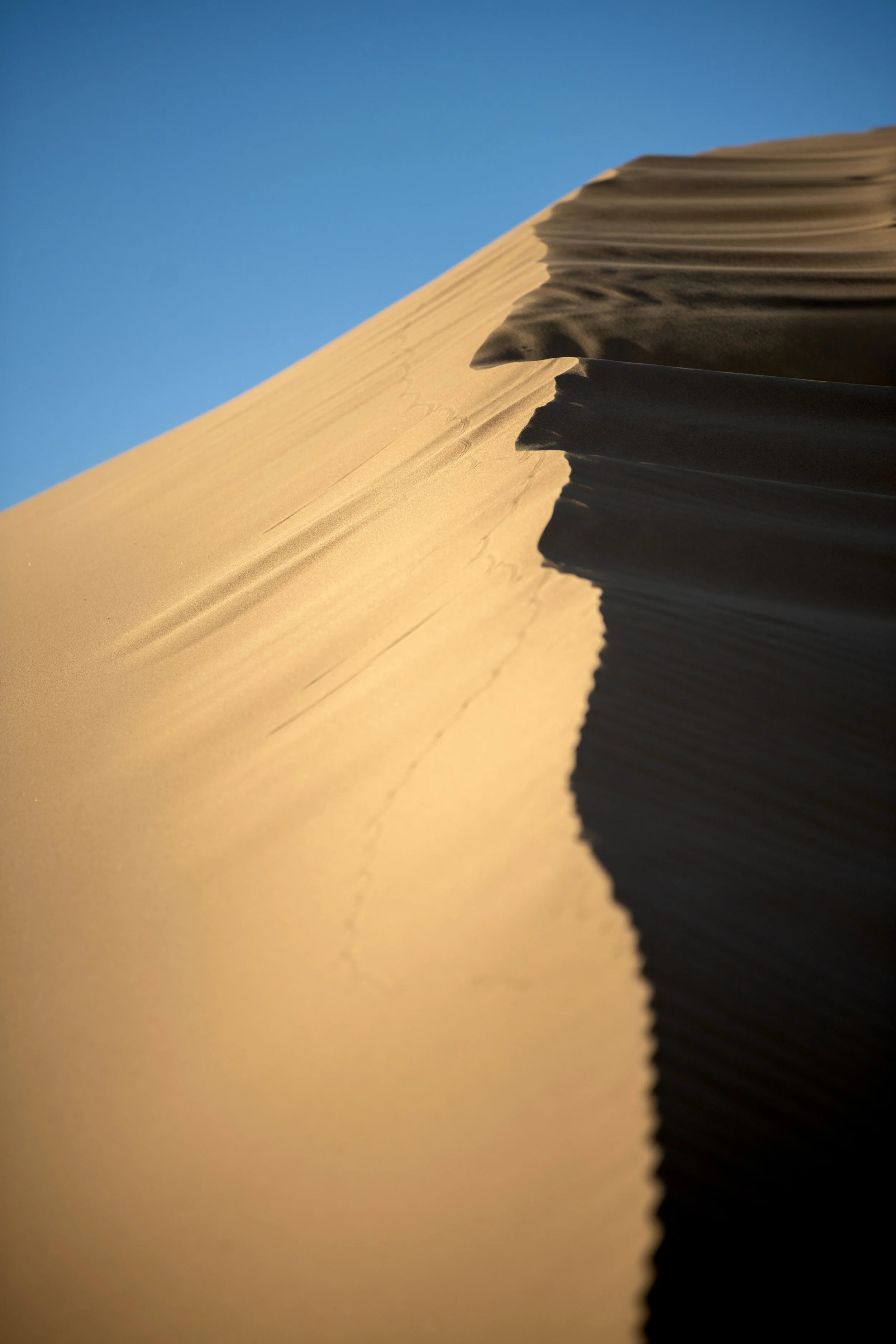 DSC_2809.jpg
