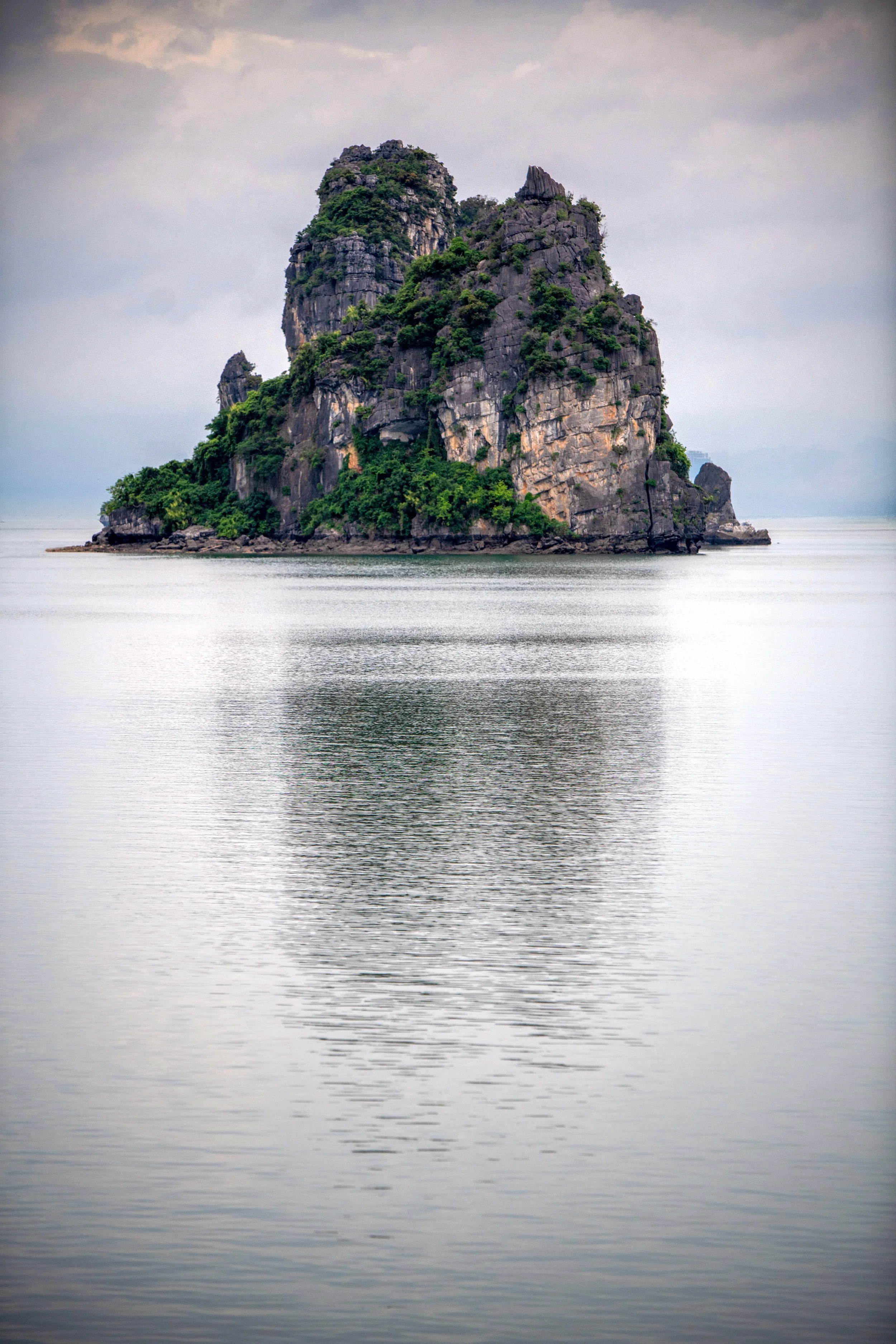DSC_2202.jpg