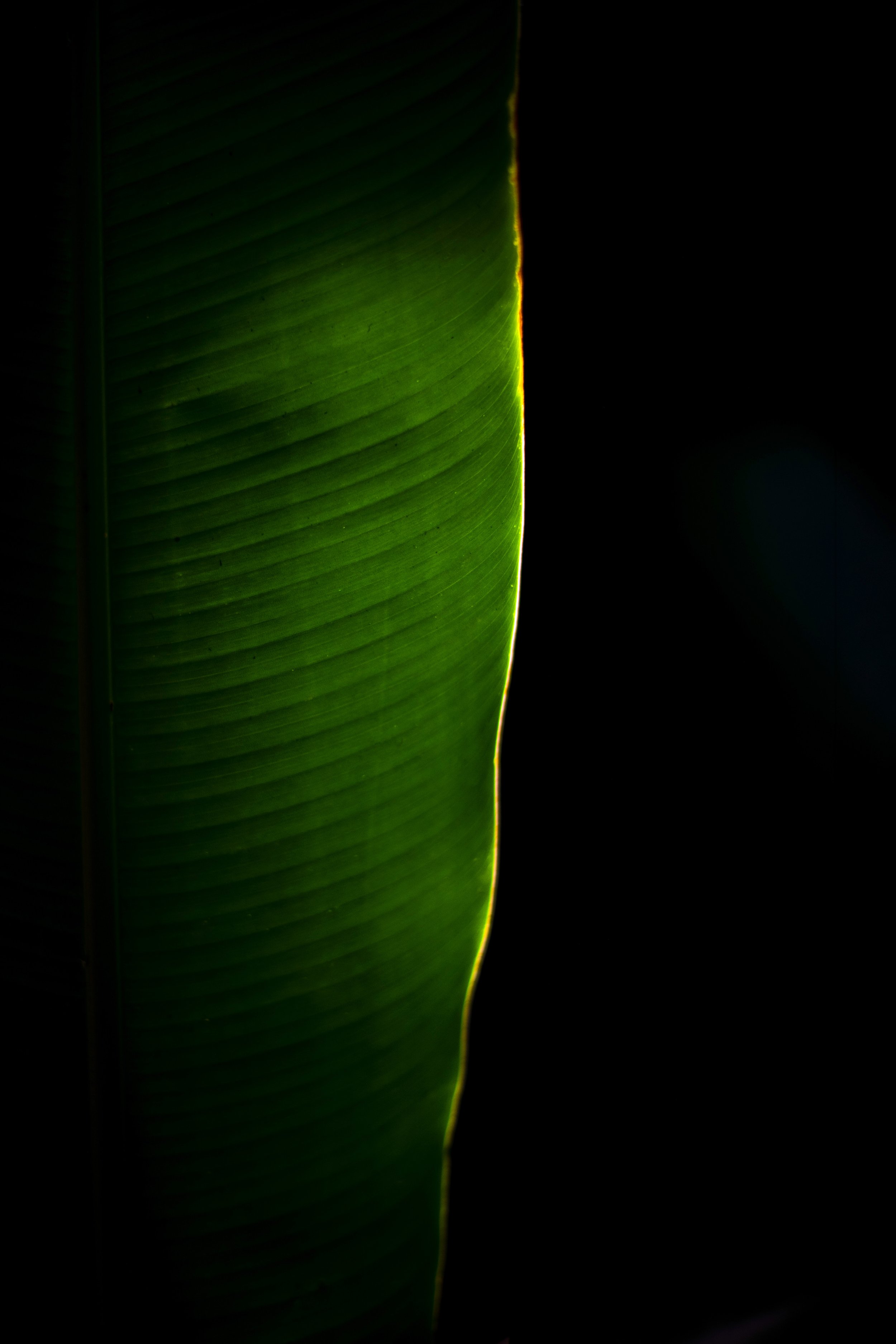 DSC_9979 2.jpg