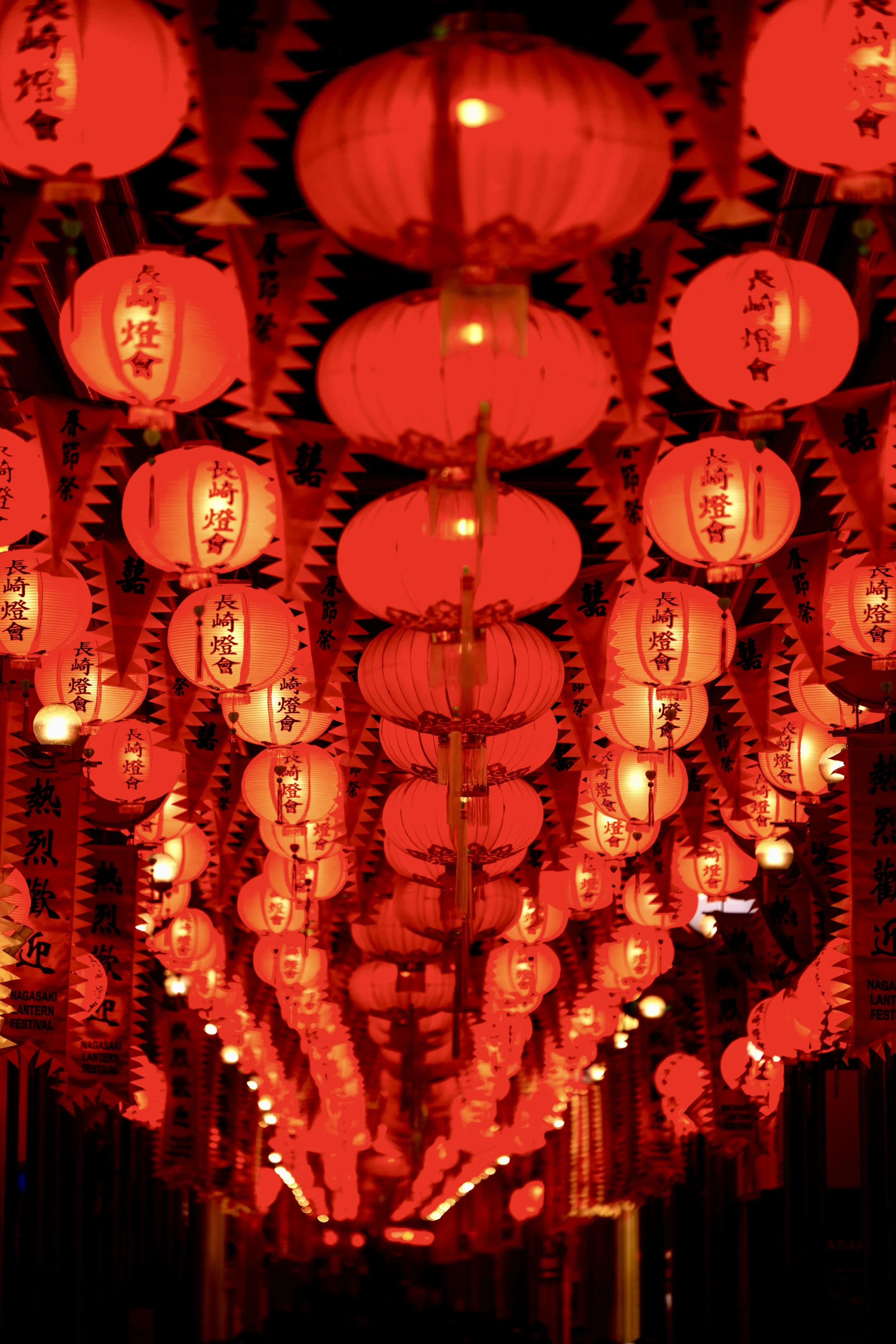 NIKON CORPORATION NIKON D850 8288x5520_001007.jpg