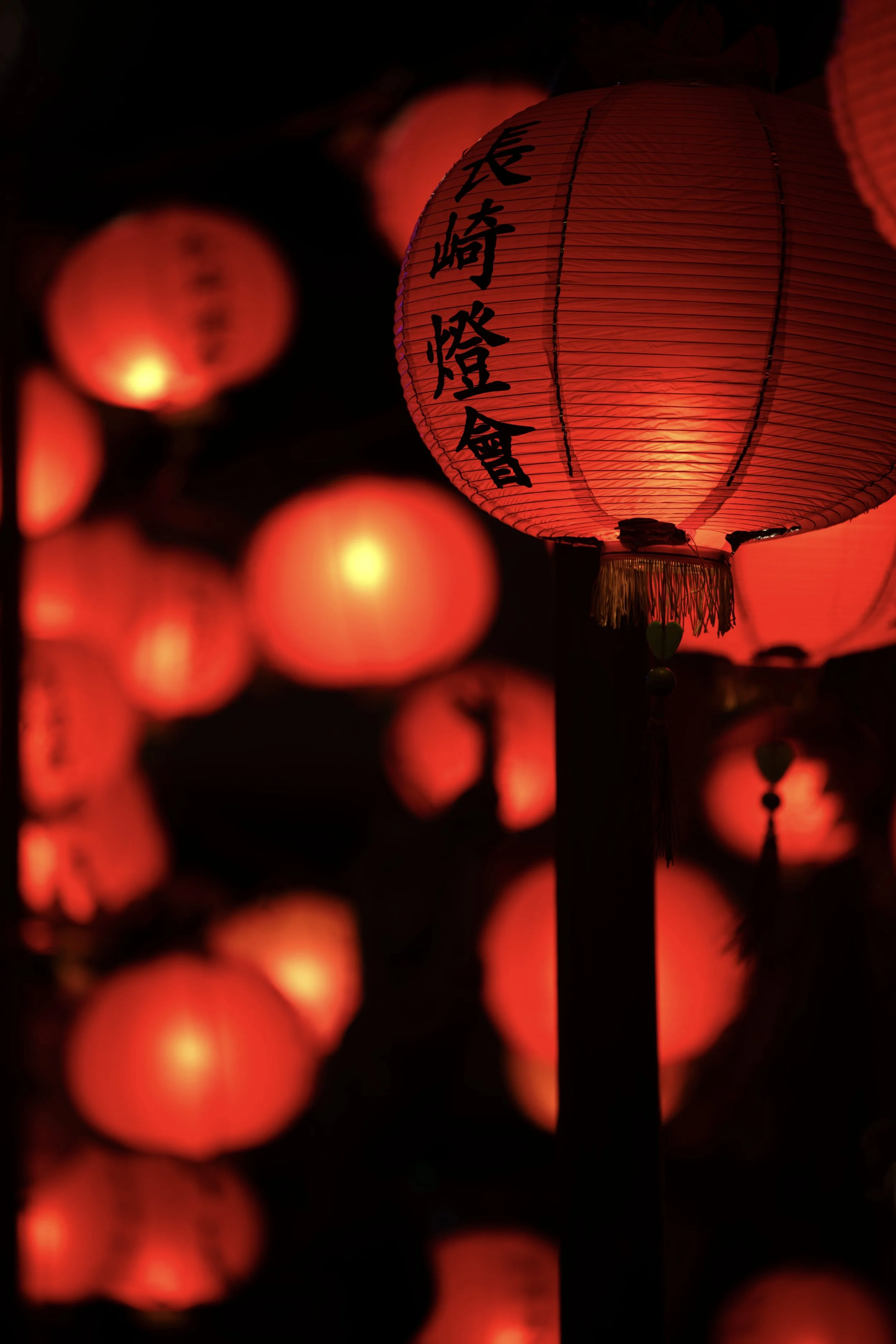 NIKON CORPORATION NIKON D850 8288x5520_001060.jpg