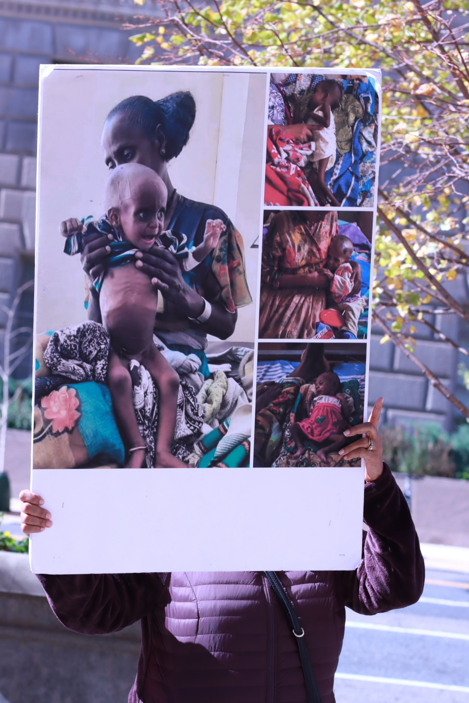 tigray ethiopian protest in washington dc during biden presidency. man holding sign of mother and baby malnourished