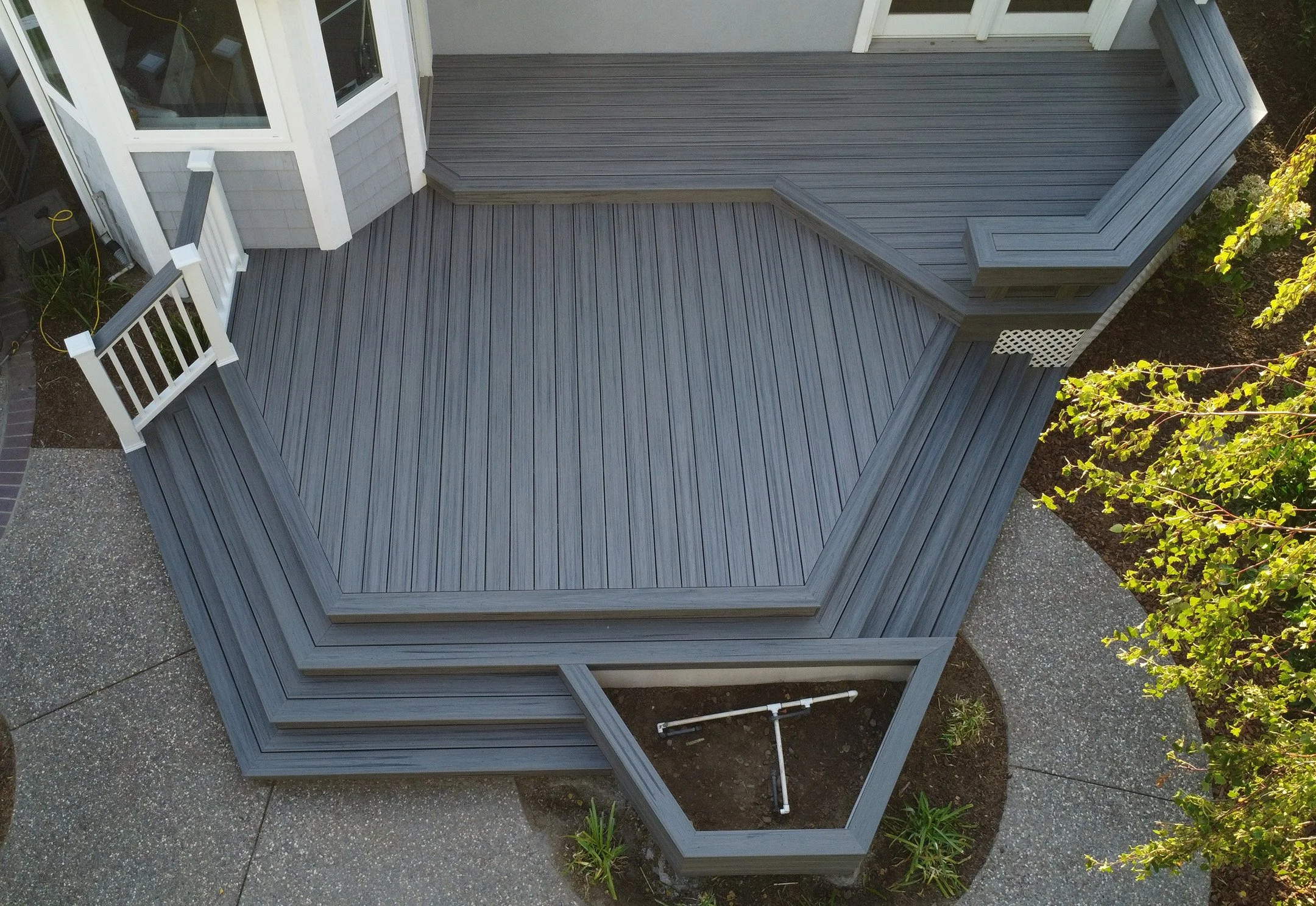 Trex Lahaina crop.JPG