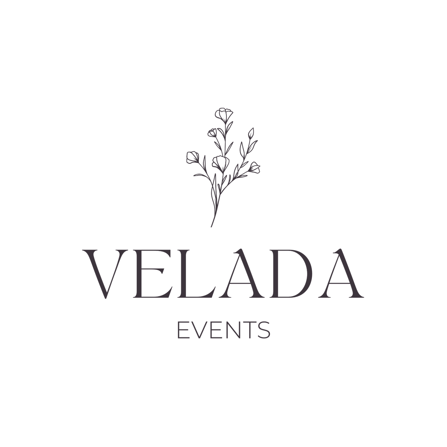 velada-events-dc-wedding-planner