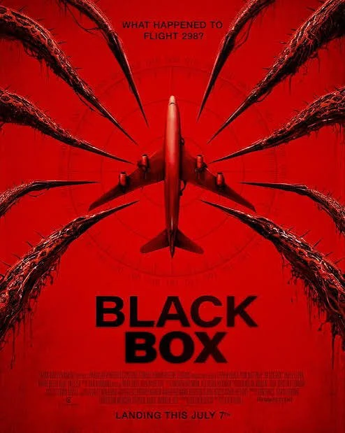 Black Box (2026) — What Happened on Flight?
