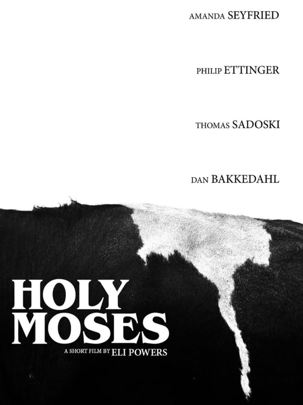 Holy Moses: A Pregnant Nun, West Texas and… a Cow?