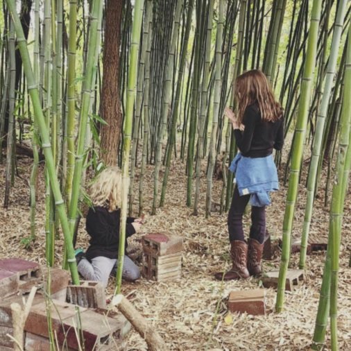 bamboo.jpg